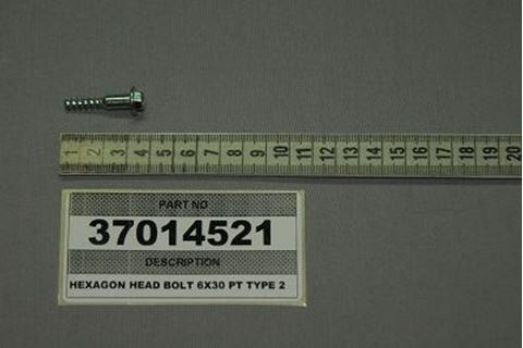 Obrázek z Šroub 6X30 PT TYPE 2 