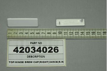 Obrázek TOP/HINGE SREW CAP/CE (RIGHT)S.W