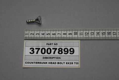 Obrázek z COUNTERSUNK HEAD BOLT 8X28 TORX 