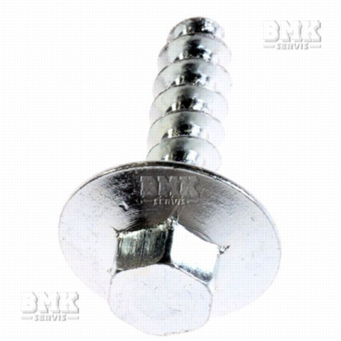 Obrázek z Šroub speciální 