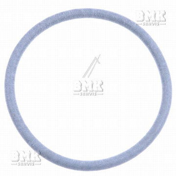 Obrázek OUTSIDE CYLINDER SEALS